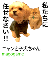 アセット 8