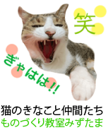 アセット 14