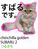アセット 32