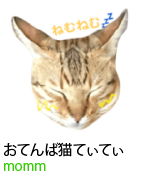 アセット 89