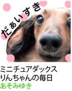 アセット 50