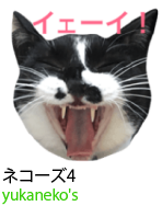 アセット 23