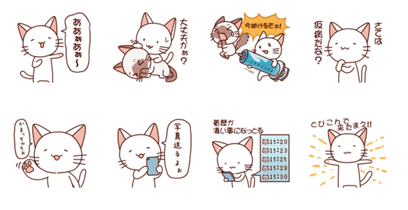 08