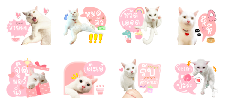 Screen Shot 2565-05-03 at 16.45.28