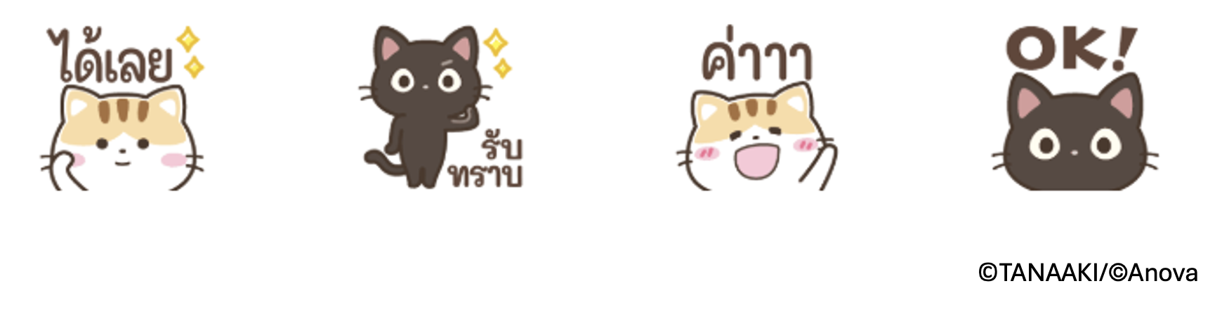 Screenshot 2568-08-05 at 12.54.50