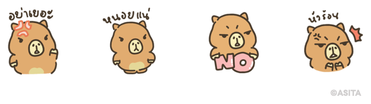 Screen Shot 2567-02-23 at 16.41.01