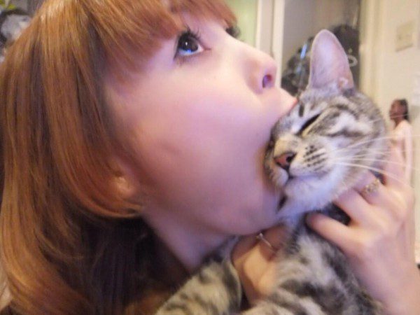 訃報 中川翔子ことしょこたんの愛猫 マミタス 急死 死因は不明 レッツ芸能ニュースまとめブログ 訃報 中川翔子ことしょこたんの愛猫 マミタス 急死 死因は不明 レッツ芸能ニュースまとめブログ