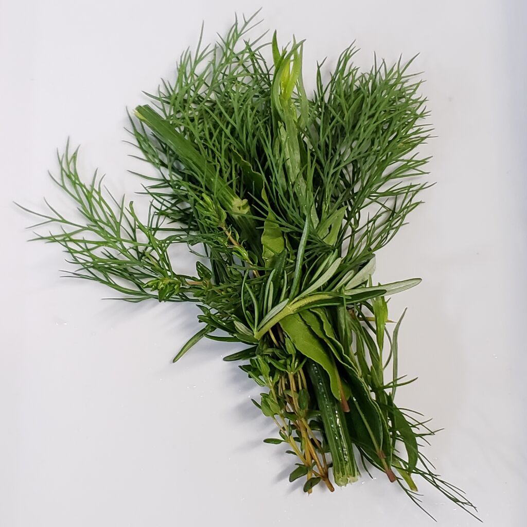 今日の収穫 ルッコラ ナスタチウム コリアンダー ディル ローリエ タラゴン タイム ローズマリー イタリアンパセリ とブーケガルニ 岐阜やまがたでハーバルライフ 出戸ハーブガーデン便り