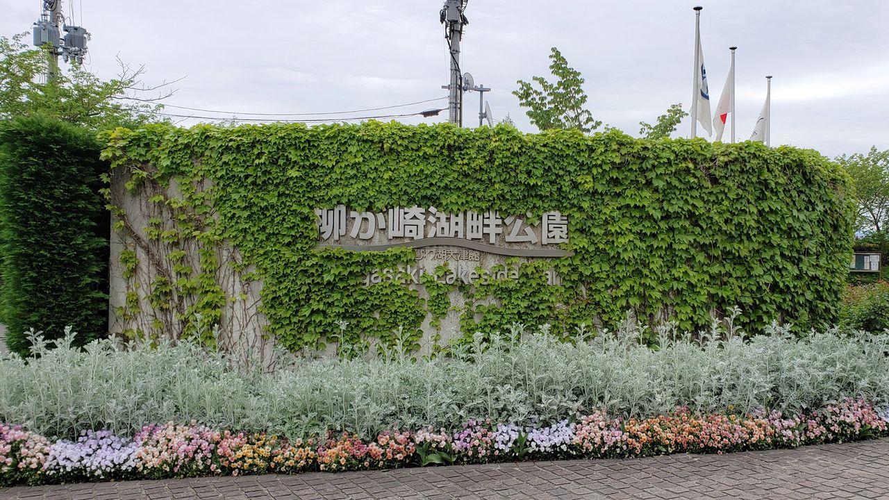 びわ湖大津館 イングリッシュガーデン 岐阜やまがたでハーバルライフ 出戸ハーブガーデン便り びわ湖大津館 イングリッシュガーデン 岐阜やまがたでハーバルライフ 出戸ハーブガーデン便り