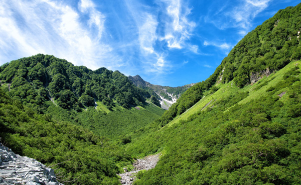 山林買うって大変かな?