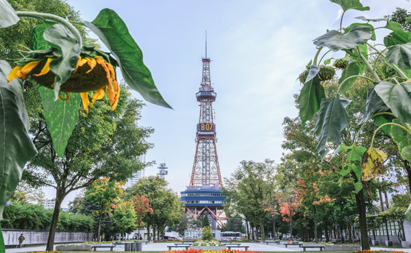 東京オリンピック、札幌でやるかもしれん