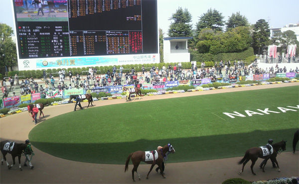 パドックの前に馬券買う奴はお金ドブに捨ててるのか?
