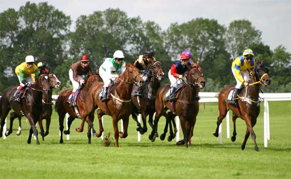 借金あるのって俺だけ? 競馬とFXで借金300万円ある。
