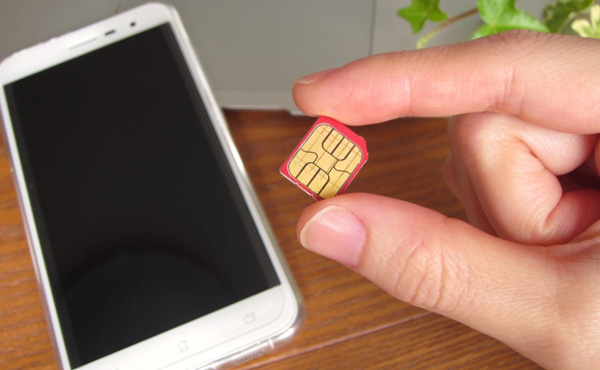 彡(゚)(゚)と学ぶ格安sim 1