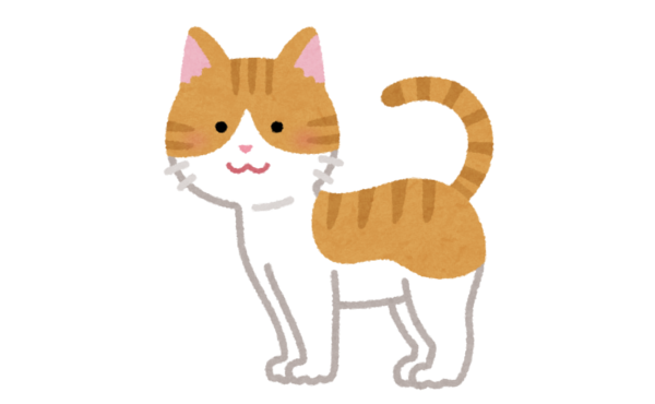 猫飼おうと思うんやが気をつけることある?
