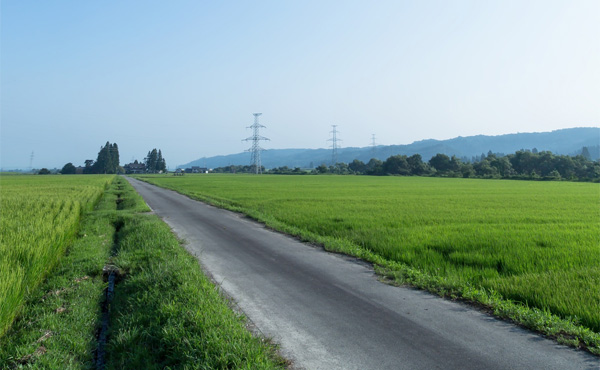 田舎は物価安いとか暮らしやすいとかよく聞くけど・・・