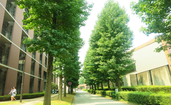 【朗報】困窮学生に10万~20万円給付案