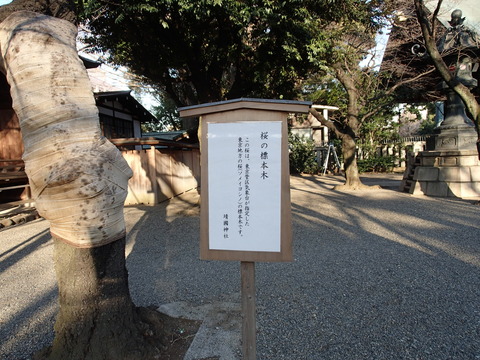 P2160846