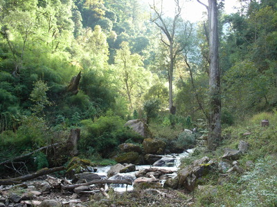 史上初のトーキング映画「ジャズ・シンガー」に関する 10 の事実