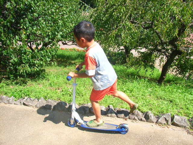 子供たちが未来に夢や希望を持てる社会の共創 こころの生態系づくり 子供たちが未来に夢や希望を持てる社会の共創 こころの生態系づくり