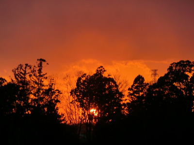骨は産業革命における児童労働の残忍さを明らかにする