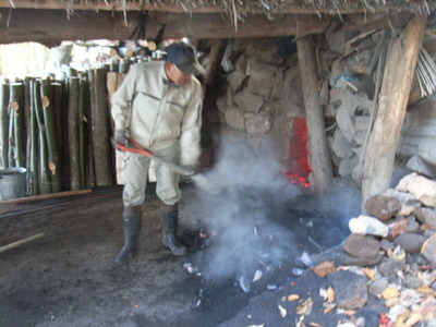 タルシシオ・メイラ:85歳で亡くなった偉大な俳優のキャリアを思い出してください