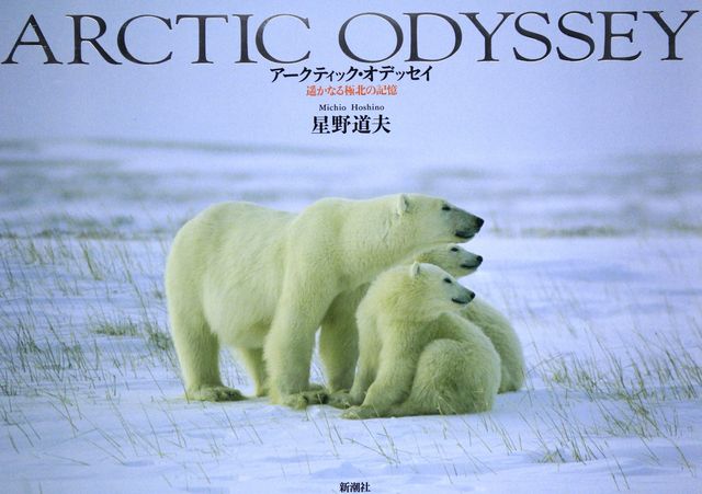 フィンランドが世界初のヘヴィメタルと編み物フェスティバルの舞台に