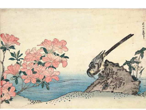 0-74-87-tsutsuji-sekirei-gazou