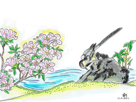 0-74-87-tsutsuji-sekirei-ill-ms