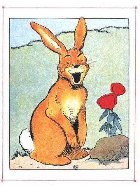 0-69-25-warau-rabbit-gazou