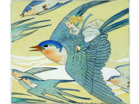 0-77-76-oyayubi-hime-gazou