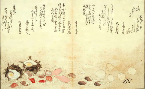 0-73-53-utamaro-shells-gazou