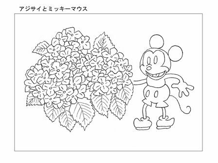 0-0-62-ajisai2-web