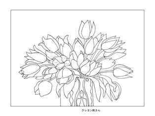 0-69-05-tulip-hisui-sen-vweb