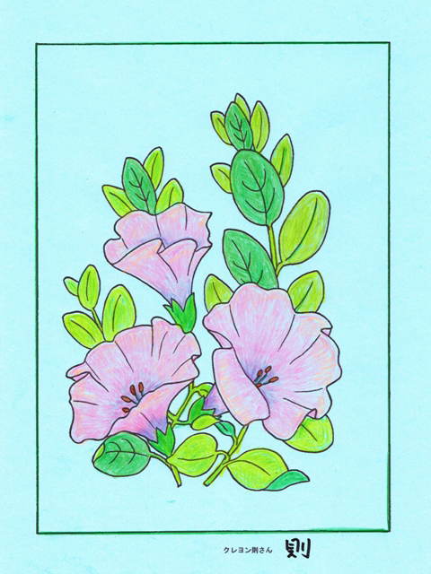 0-67-92-hirugao-ill-ms