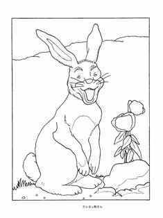 0-69-25-warau-rabbit-sen-web