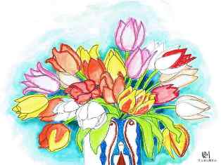 0-74-80-tulip-hisu-illi-ms33