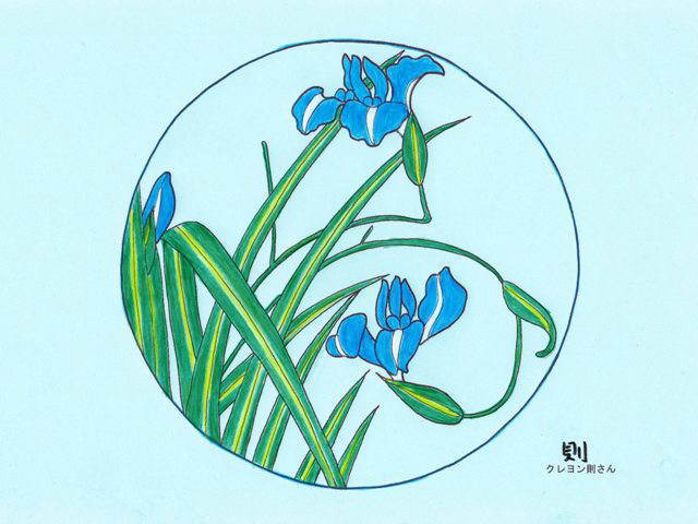 6月カキツバタの花の天井画の塗り絵 クレヨン則さんの塗り絵