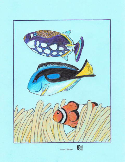 0-67-69-kumanomi-nanyouhagi-clown-triggerfish-ill-ms