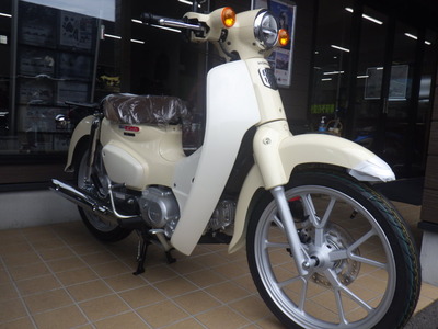 RIMG8252