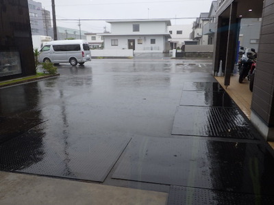 IMGP3489