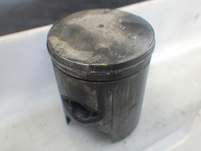 RIMG6555