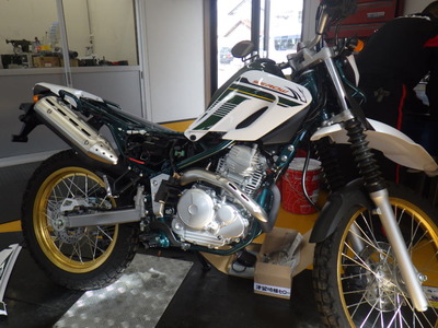 RIMG2955