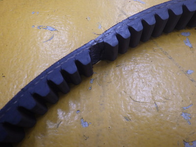 RIMG2688