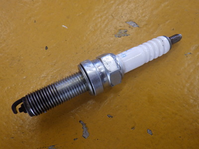 RIMG0655