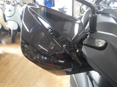 RIMG9636