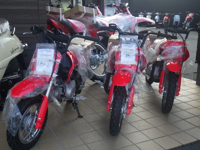 RIMG8708