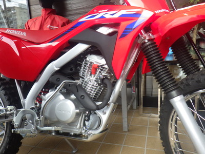 RIMG9423
