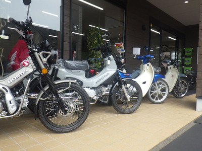 RIMG3369