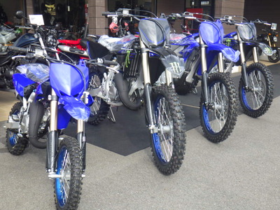 RIMG5599